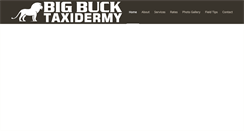 Desktop Screenshot of bigbuck.co.za