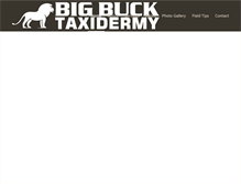 Tablet Screenshot of bigbuck.co.za